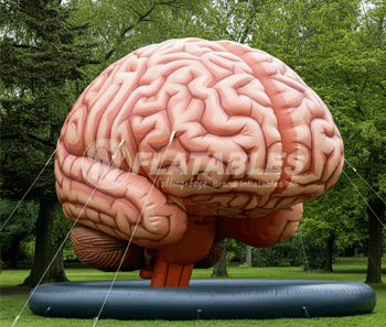 Inflatable Brain Display