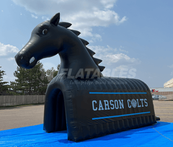 Horse Football Tunnel