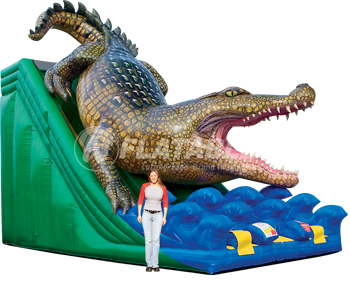 Gator Hide-n-Slide™ Kid Combo