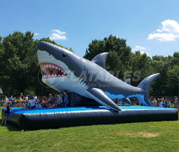 Inflatable Shark Photo Op